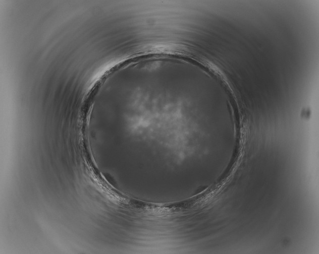 X0000115321019200911161740