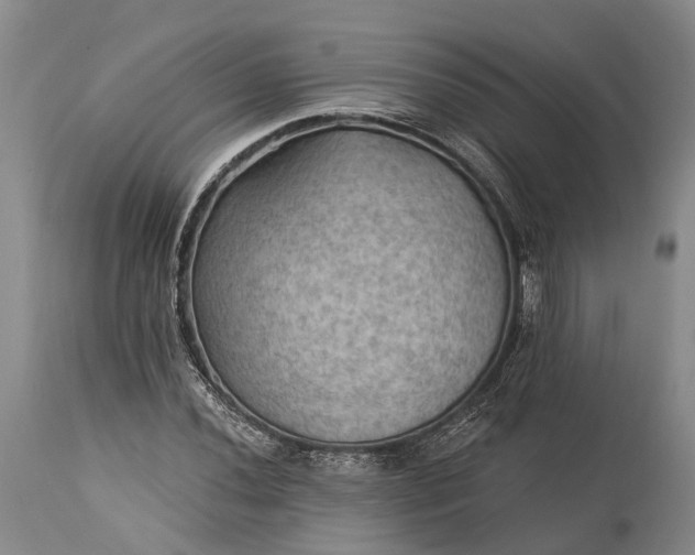 X0000115321020200911161740