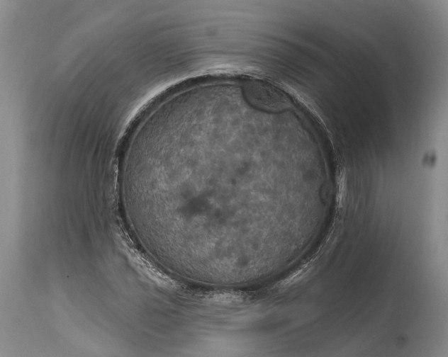 X0000115321021200911161740