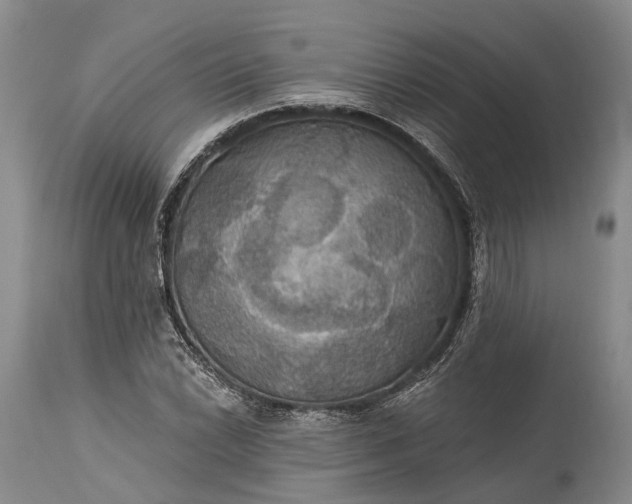 X0000115321022200911161740