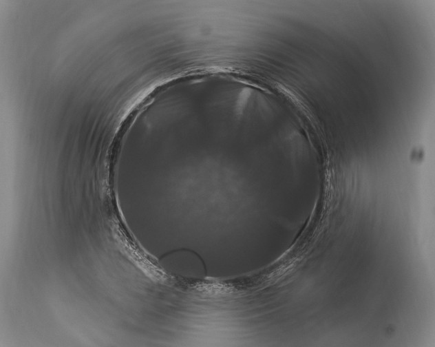 X0000115321023200911161740