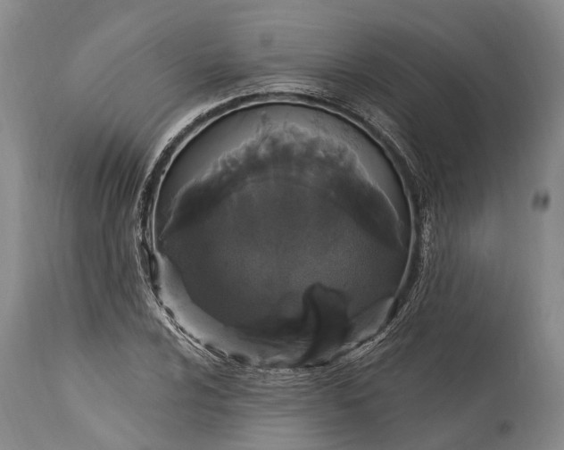 X0000115321024200911161740