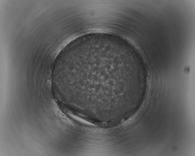 X0000115321025200911161740