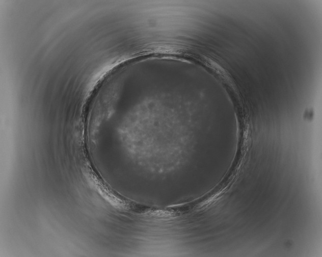 X0000115321027200911161740