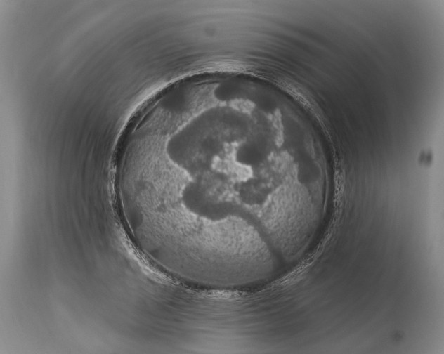 X0000115321029200911161740