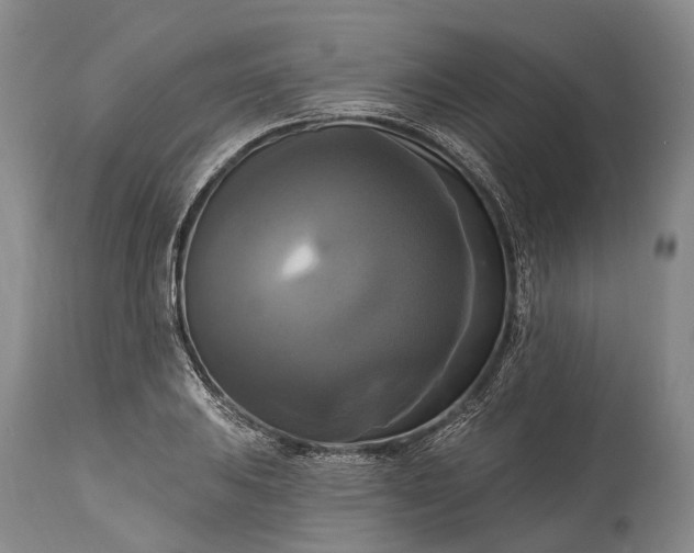 X0000115321031200911161740