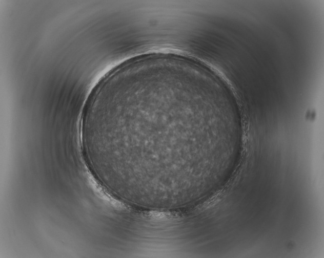 X0000115321032200911161740