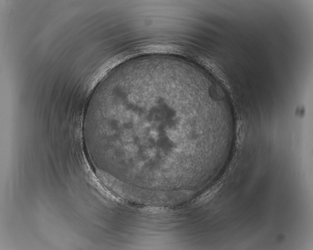 X0000115321033200911161740