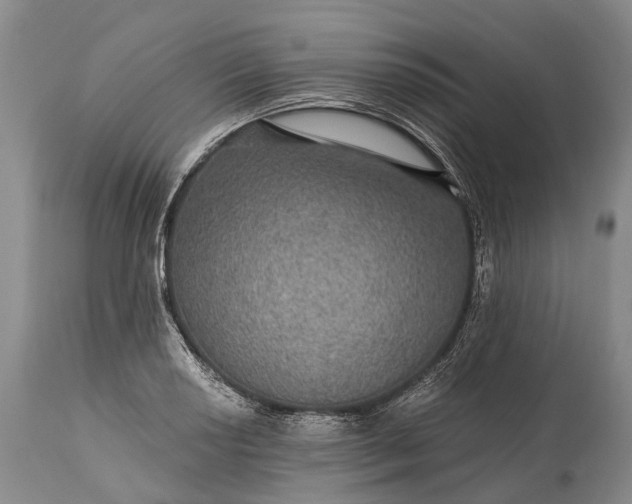 X0000115321034200911161740