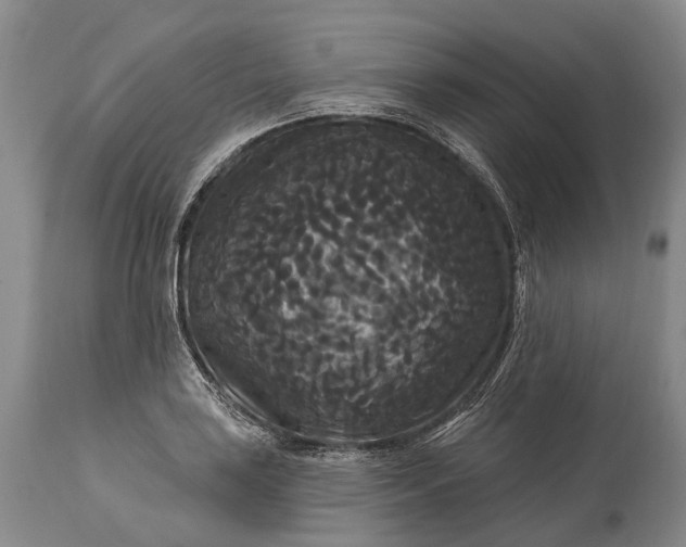 X0000115321035200911161740