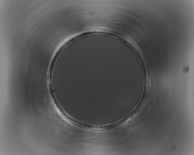 X0000115321037200911161740