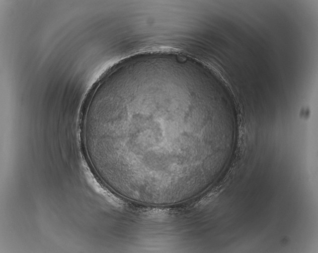 X0000115321038200911161740