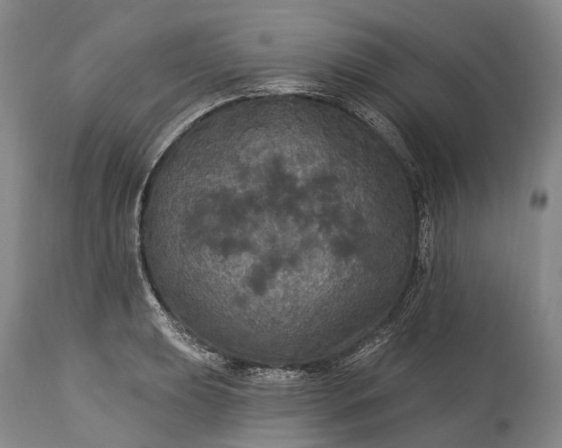 X0000115321039200911161740