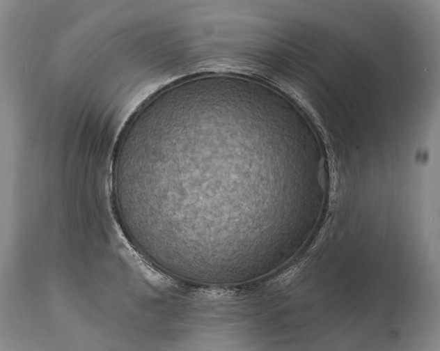 X0000115321040200911161740