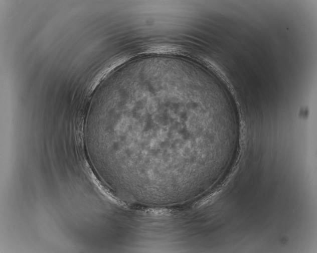 X0000115321041200911161740