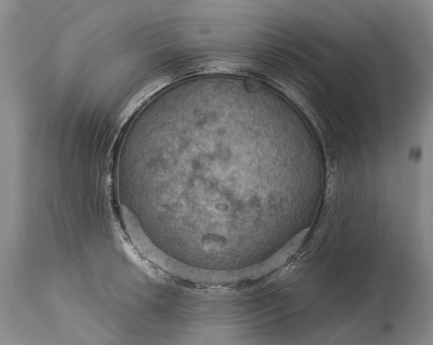 X0000115321042200911161740