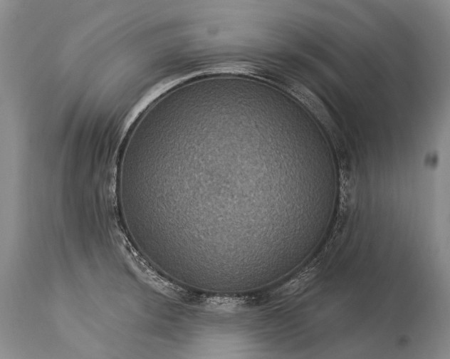 X0000115321044200911161740