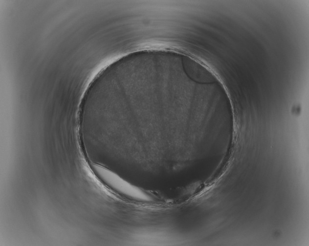 X0000115321045200911161740