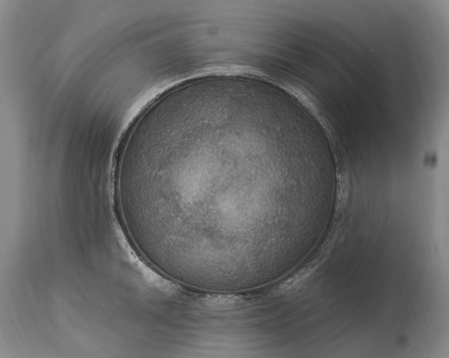 X0000115321046200911161740