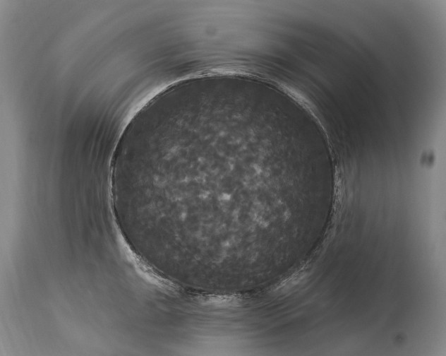 X0000115321047200911161740