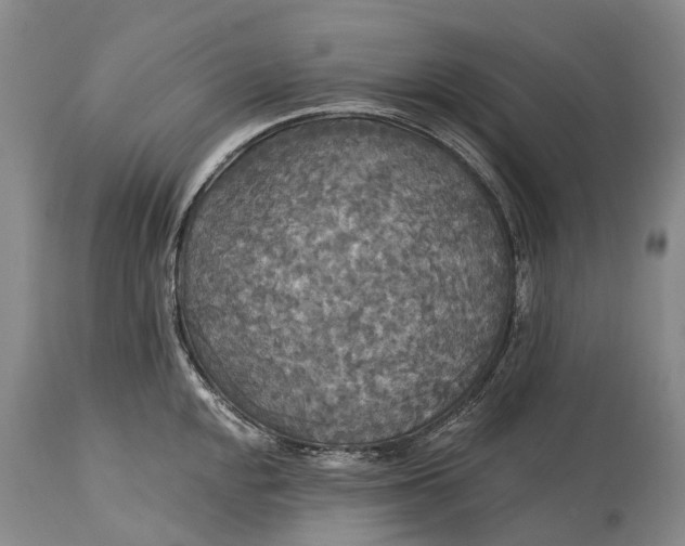 X0000115321048200911161740