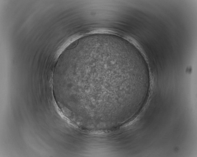 X0000115321049200911161740