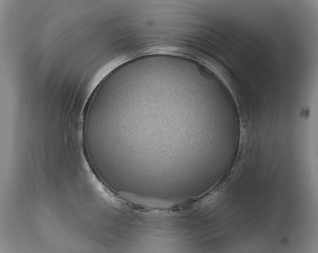 X0000115321050200911161740