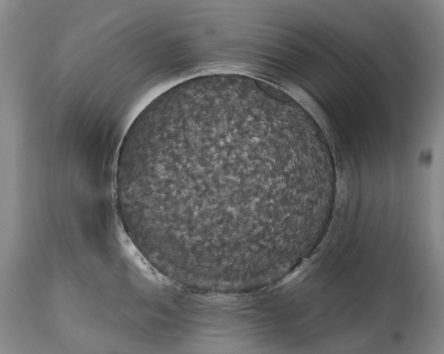 X0000115321052200911161740