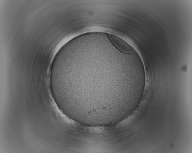 X0000115321053200911161740