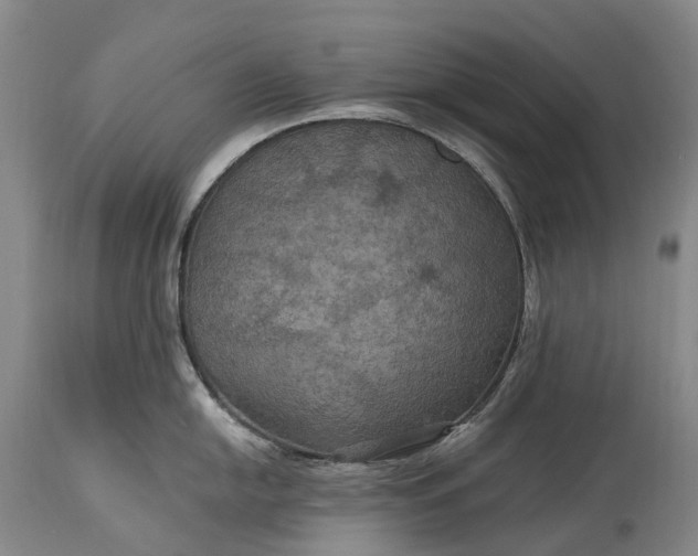 X0000115321054200911161740