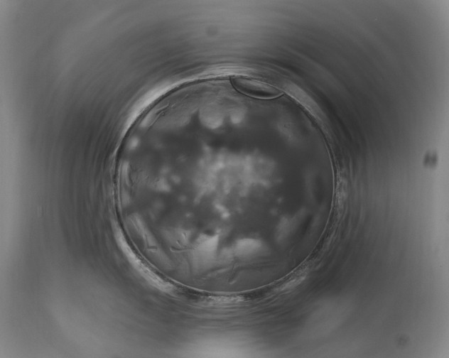 X0000115321055200911161740