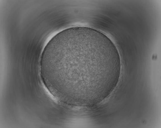 X0000115321056200911161740