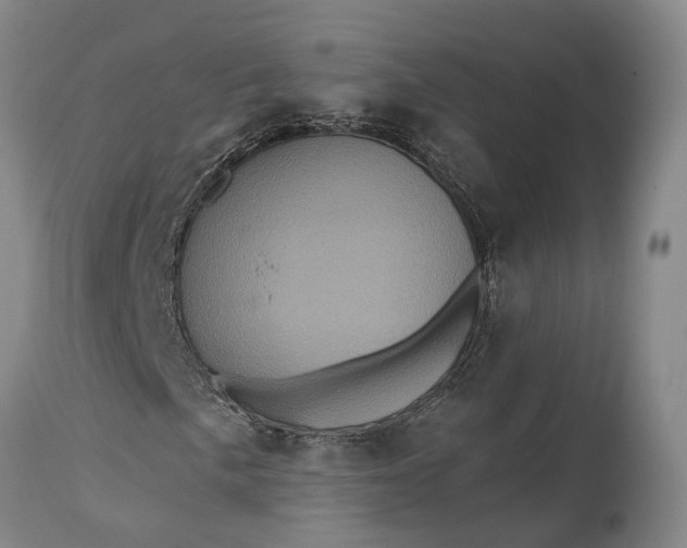 X0000115321057200911161739