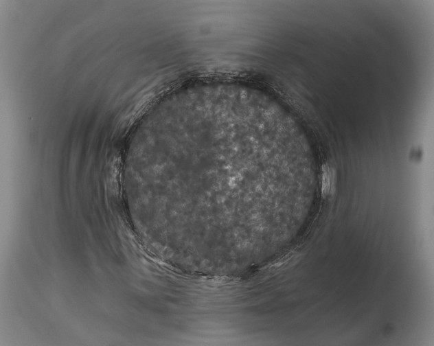 X0000115321059200911161739