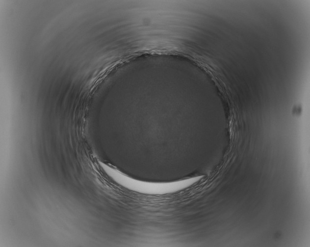 X0000115321060200911161739