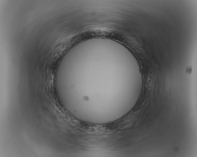 X0000115321061200911161739