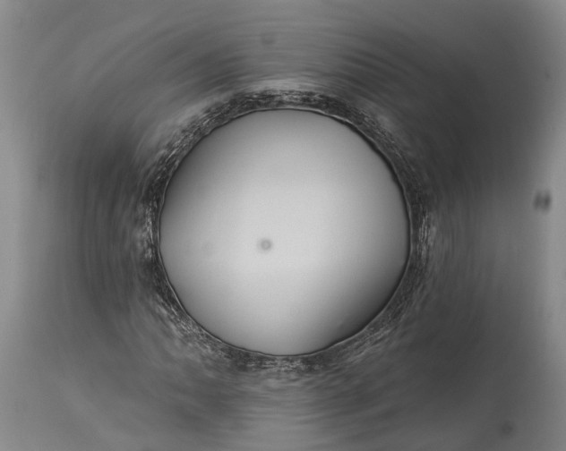 X0000115321062200911161739