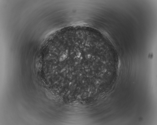 X0000115321063200911161739