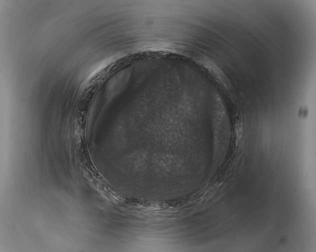 X0000115321064200911161739