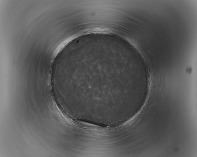 X0000115321066200911161739