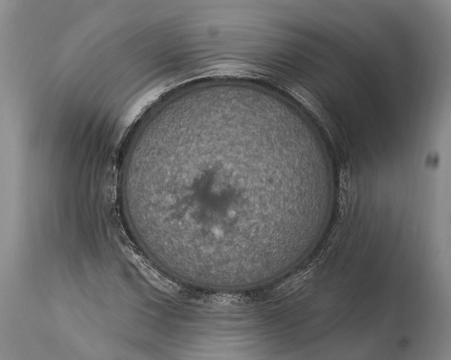 X0000115321067200911161739