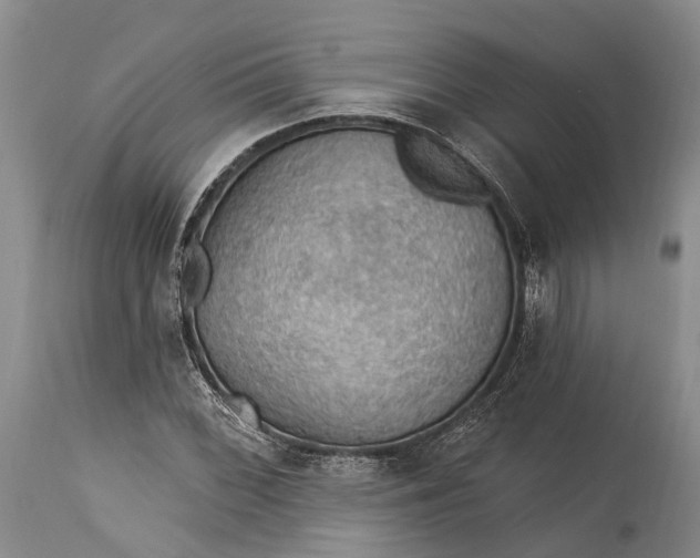 X0000115321068200911161739