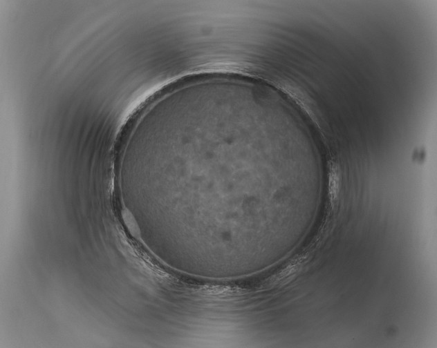 X0000115321069200911161739