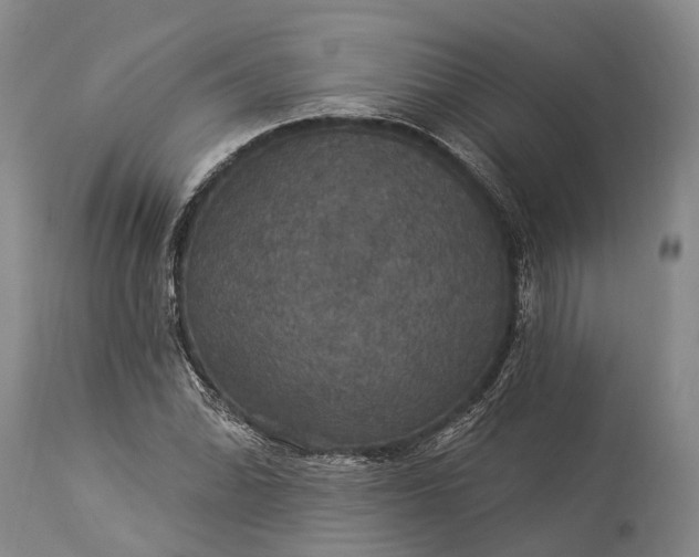 X0000115321070200911161739