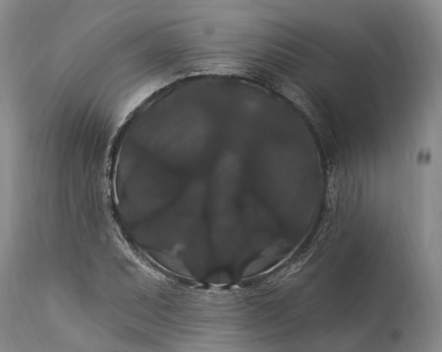 X0000115321071200911161739