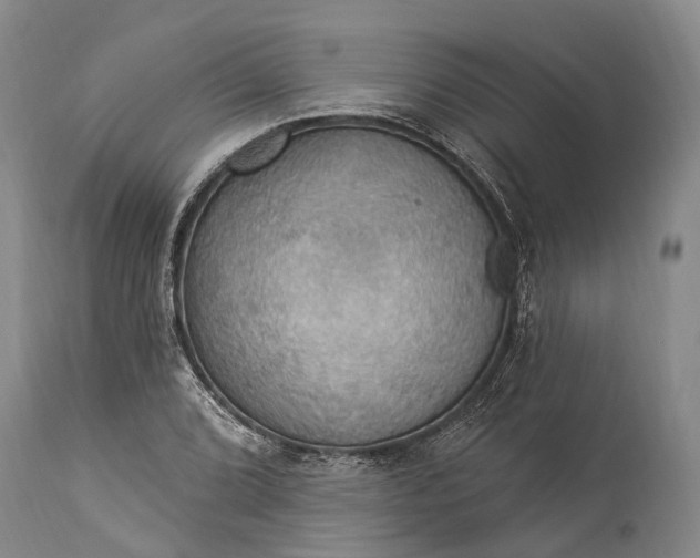 X0000115321072200911161739