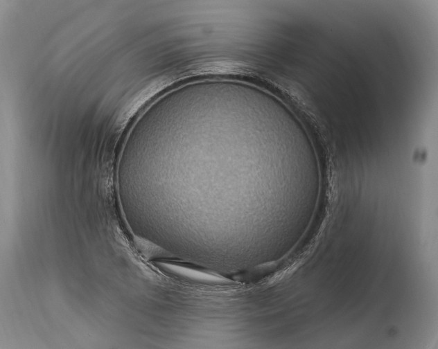 X0000115321073200911161739