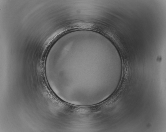 X0000115321074200911161739