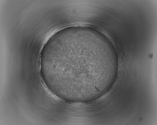 X0000115321075200911161739