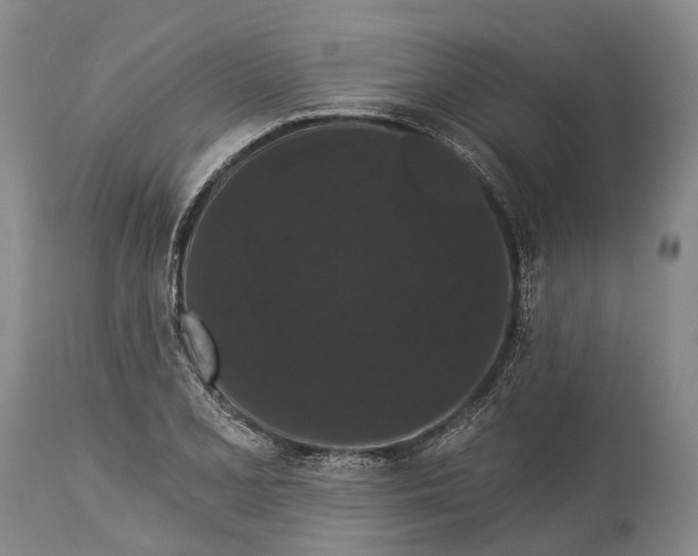 X0000115321077200911161739